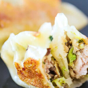 Chicken & Vegetable Potsticker 1.0 oz