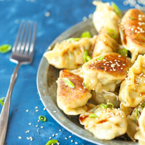 POTSTICKERS